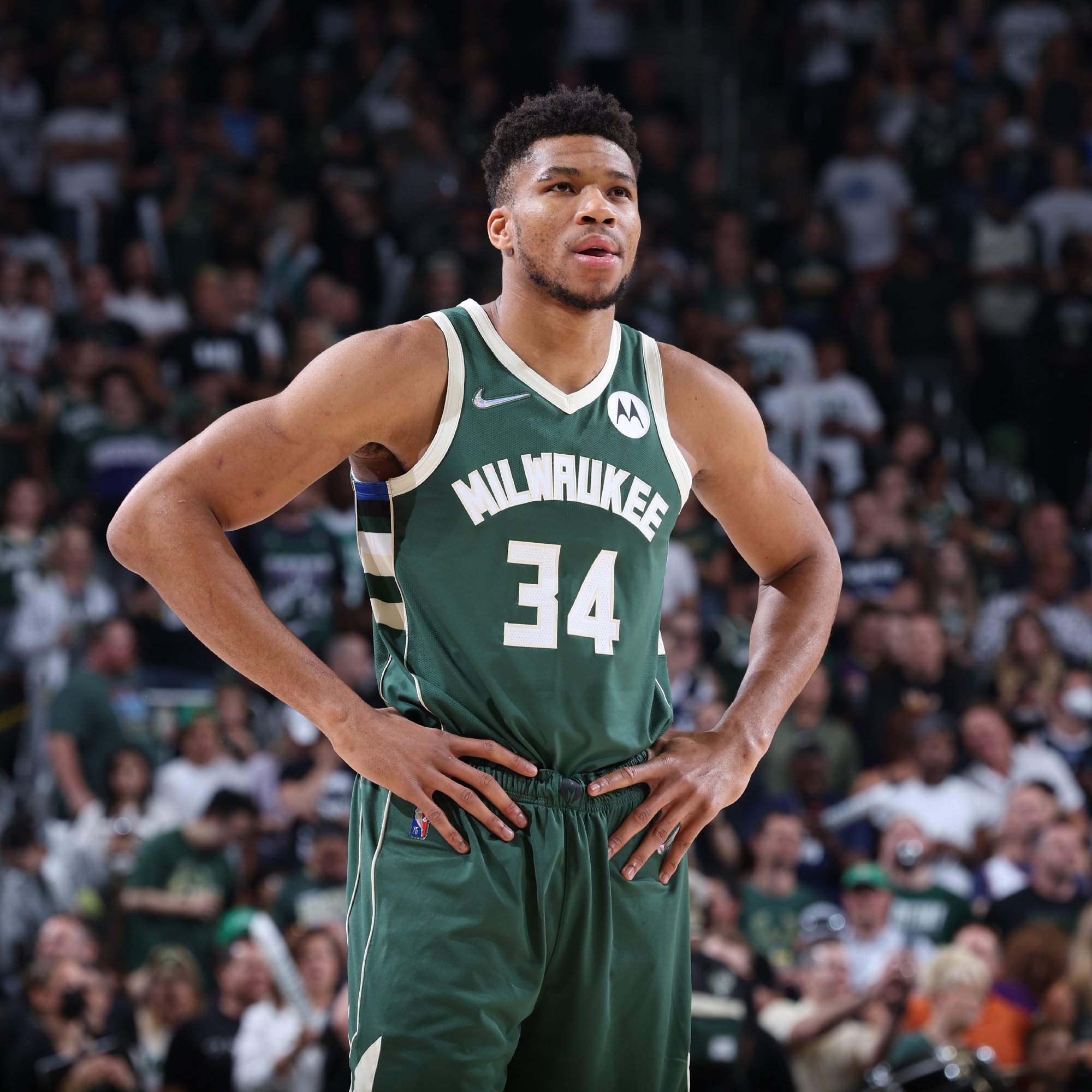 P的音乐会 P的音乐会